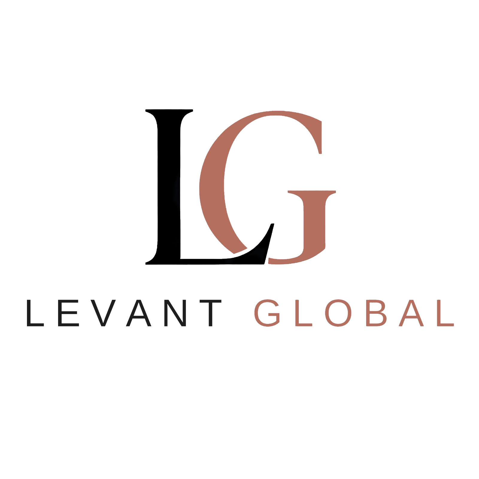 Levant Global — stranka NUMEDIA digitalne agencije