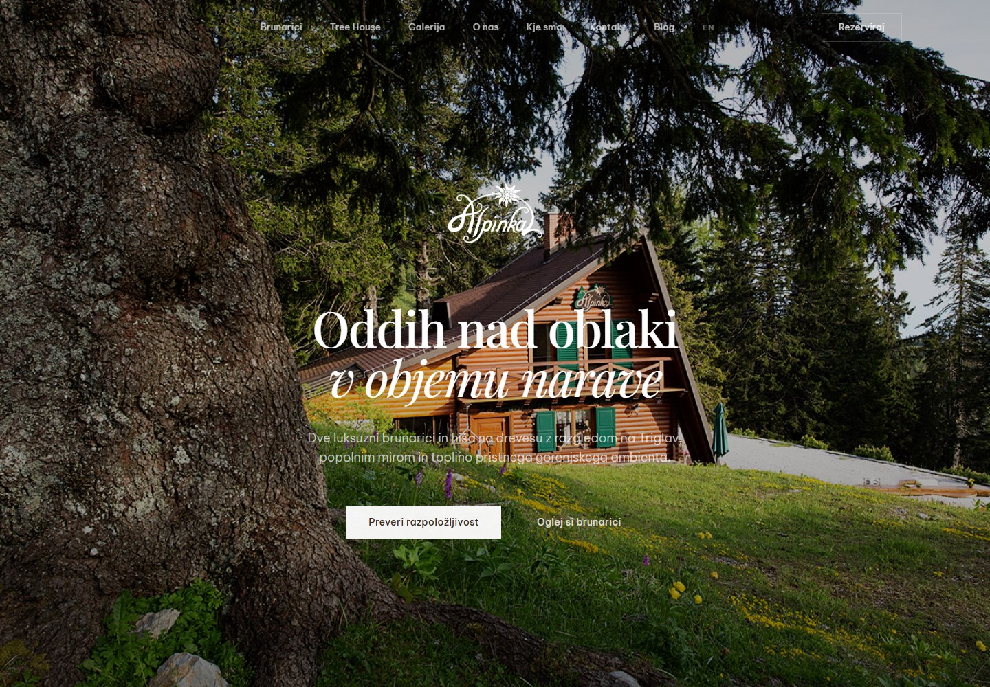 Začetna stran projekta Alpinka